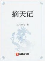 《摘天记》小说封面