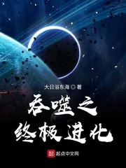 《吞噬之终极进化》小说封面
