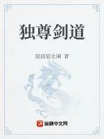 《独尊剑道》小说封面