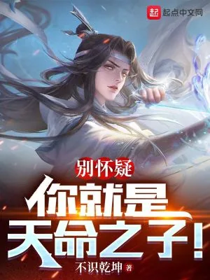 《别怀疑,你就是天命之子!》小说封面