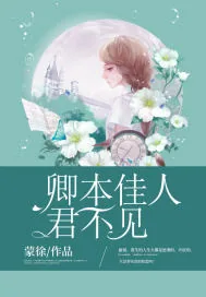 《卿本佳人，君不见》小说封面