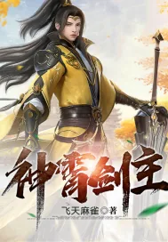 《神霄剑主》小说封面