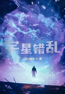 《宇星错乱》小说封面