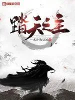 《踏天之主》小说封面