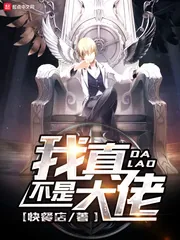 《我真不是大佬》小说封面