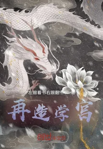 《再造学宫》小说封面