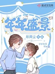 《年年盛景》小说封面