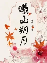 《曦山朔月》小说封面