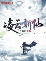 《凌云斩仙》小说封面