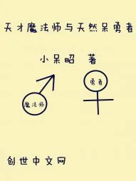 《天才魔法师与天然呆勇者》小说封面