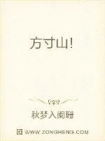 《方寸山！》小说封面