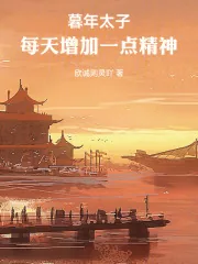 《暮年太子：每天增加一点精神》小说封面