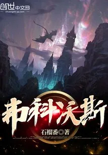 《弗科沃斯》小说封面