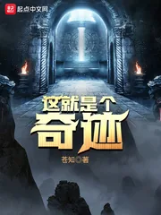 《这就是个奇迹》小说封面