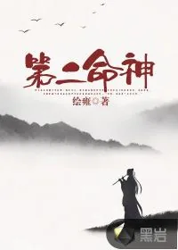 《第二命神》小说封面