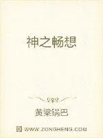 《神之畅想》小说封面