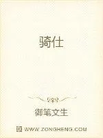 《骑仕》小说封面