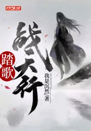 《踏歌战天行》小说封面