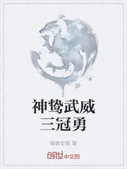 《神鸷武威三冠勇》小说封面