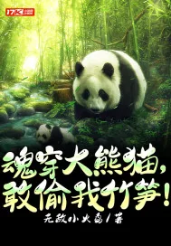 《魂穿大熊猫，敢偷我竹笋！》小说封面
