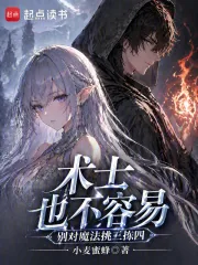 《术士也不容易,别对魔法挑三拣四》小说封面
