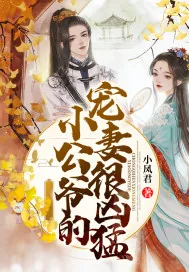 《小公爷的宠妻很凶猛》小说封面