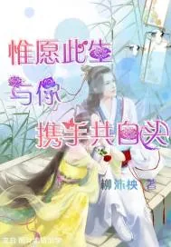 《惟愿此生与你携手共白头》小说封面