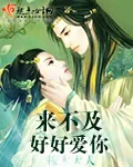 《来不及好好爱你》小说封面