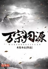 《万宗归源》小说封面