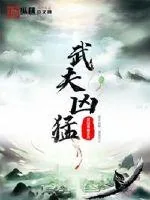 《武夫凶猛》小说封面