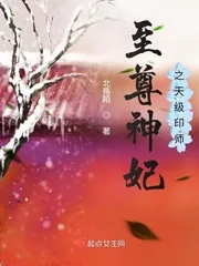 《至尊神妃之天级印师》小说封面