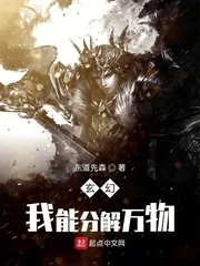《我能分解万物》小说封面