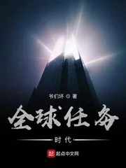 《全球任务时代》小说封面