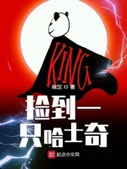 《捡到一只哈士奇》小说封面