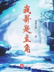 《我哥是主角》小说封面
