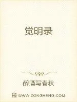 《觉明录》小说封面