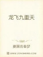 《龙飞九重天》小说封面