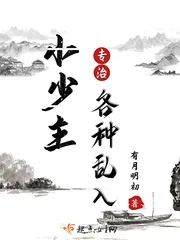 《小少主专治各种乱入》小说封面