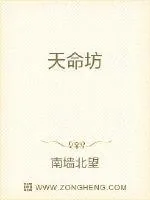 《天命坊》小说封面