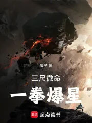 《三尺微命,一拳爆星》小说封面