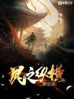 《风之纵横》小说封面