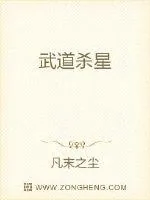 《武道杀星》小说封面