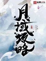 《月域攻略》小说封面