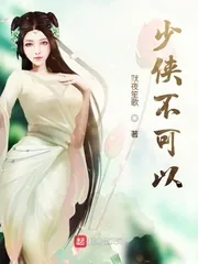 《少侠不可以》小说封面