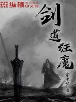 《剑道狂魔》小说封面