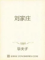 《刘家庄》小说封面