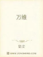 《万维》小说封面