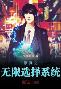 《修真之无限选择系统》小说封面