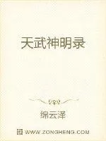 《天武神明录》小说封面