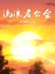 《流浪者公会》小说封面